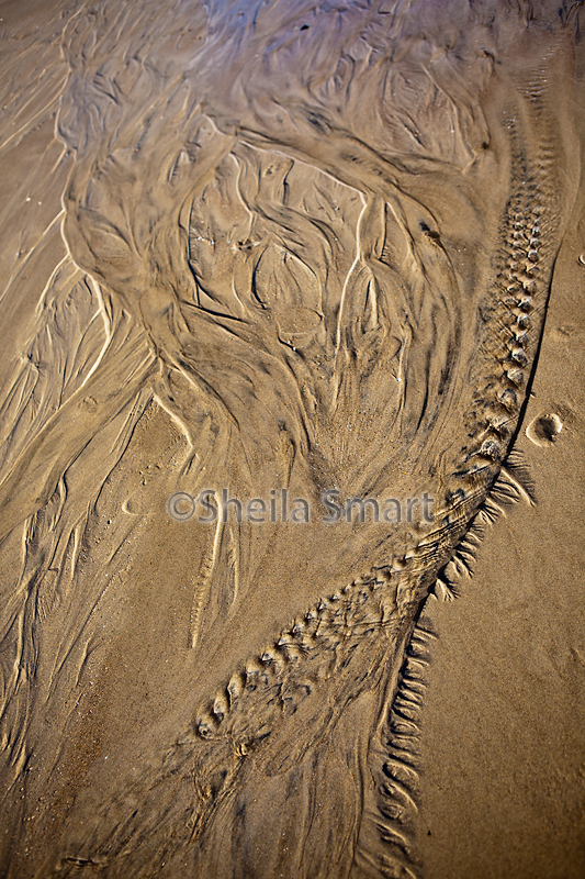 Patterns in sand