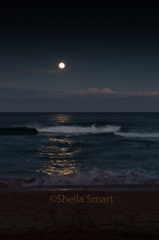 Avalon moonlight