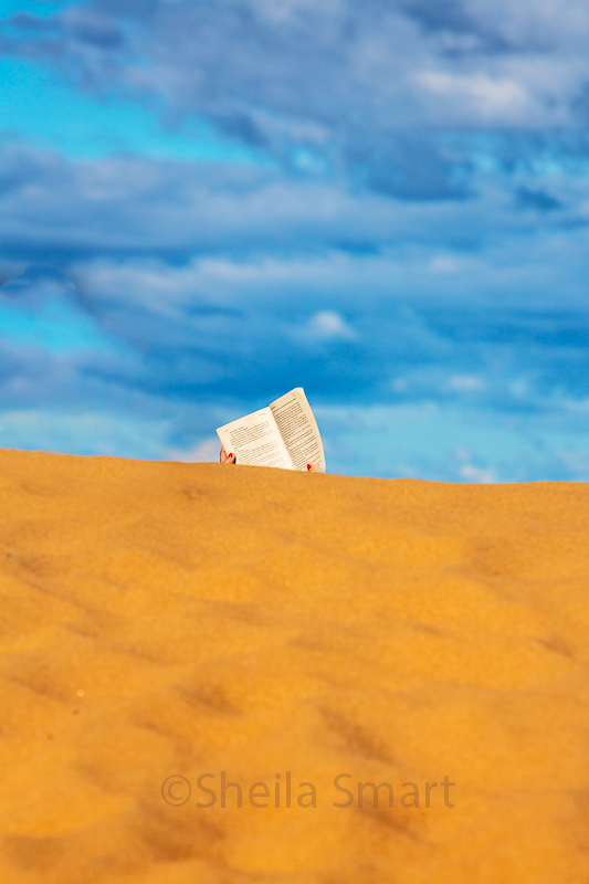 The dune reader