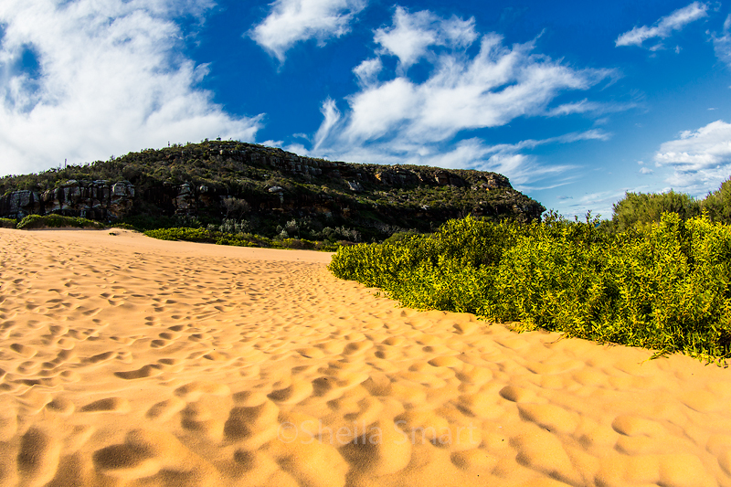 Dunes at Palm Beach