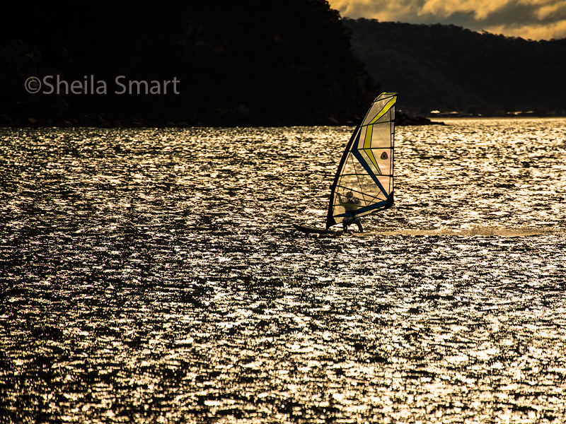 Windsurfer on Pittwater