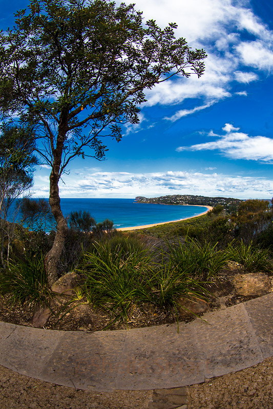 Palm Beach from headland 
