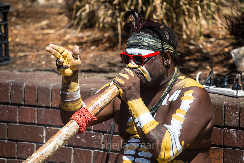 Norman, aboriginal busker
