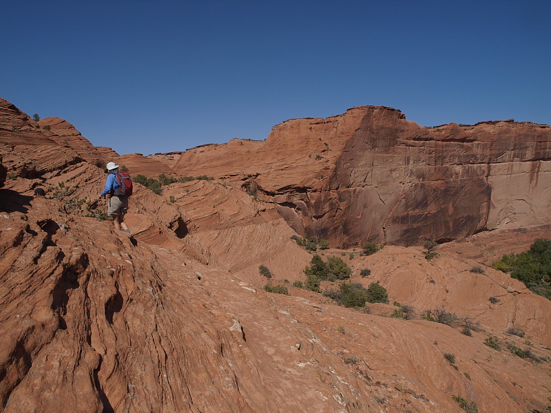 PA137098.jpg