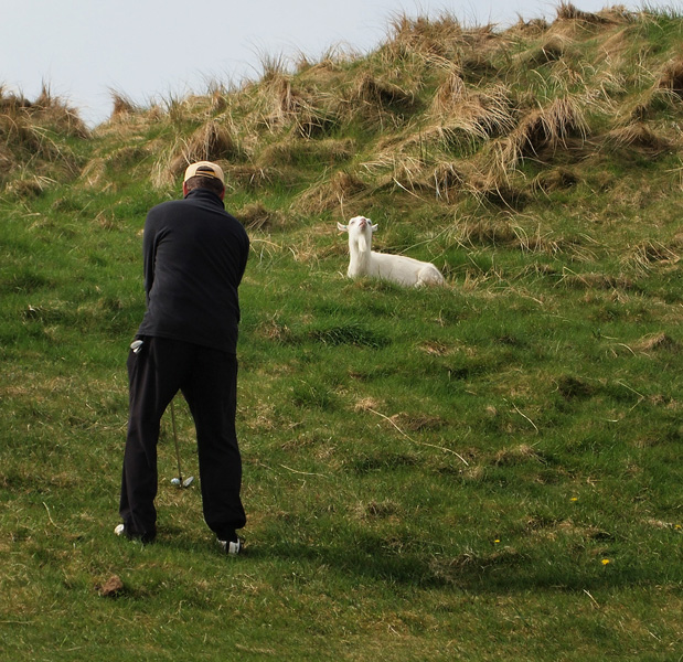 Lahinch #9