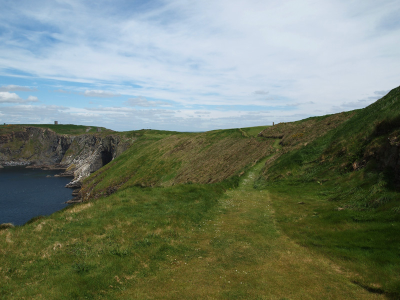Old Head #12