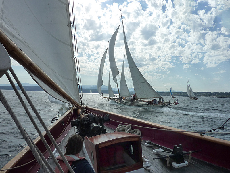 schooner martha from adventuress
