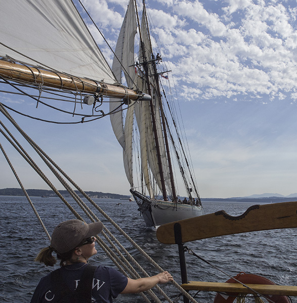 Pacific Grace