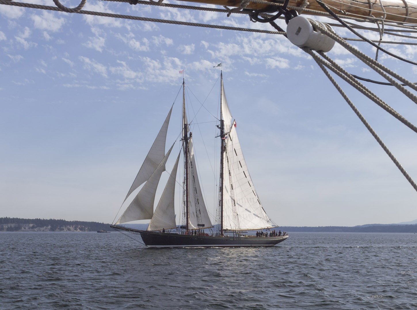 Pacific Grace