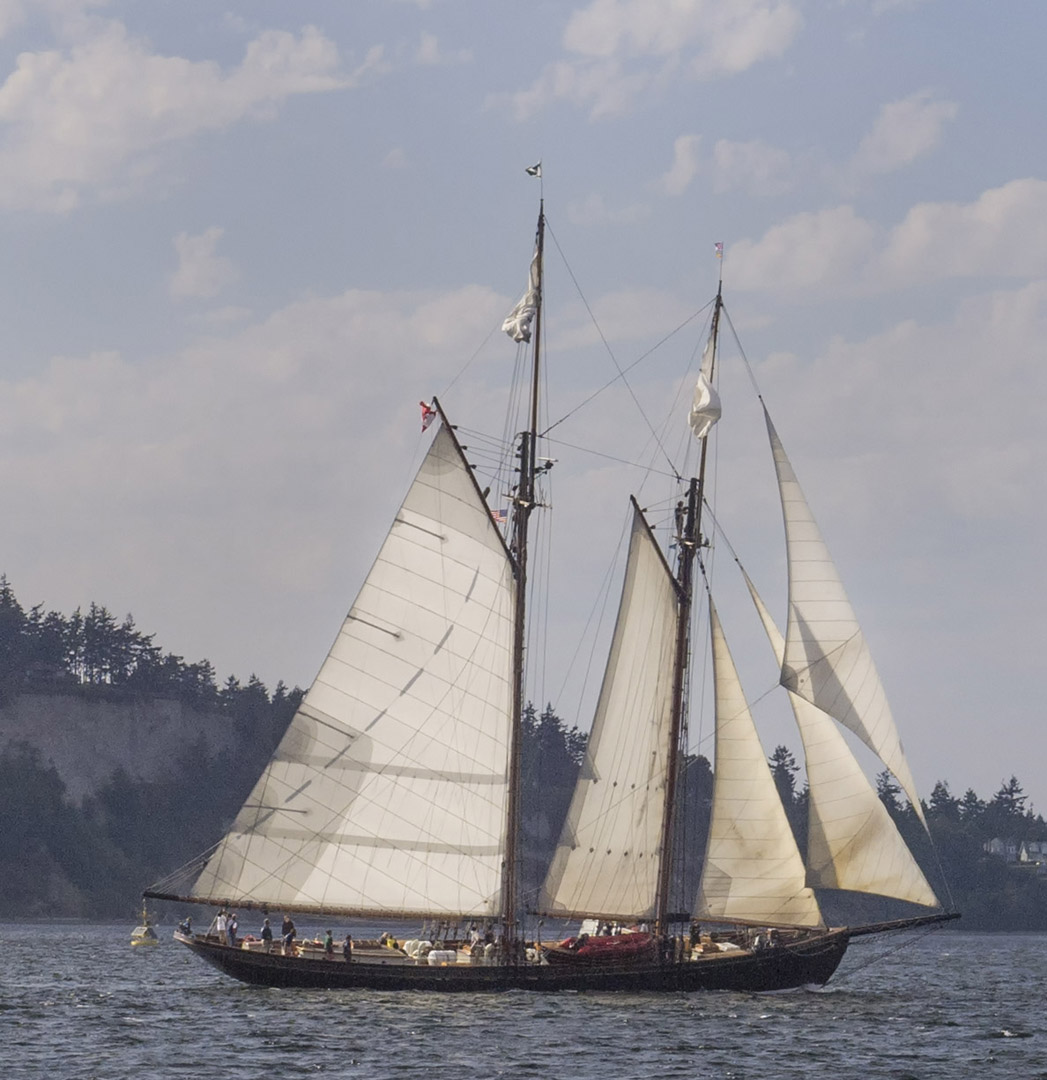 Pacific Grace