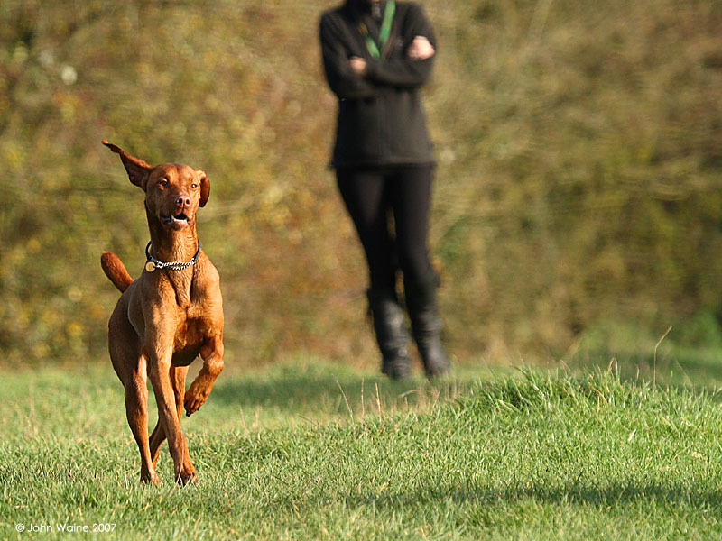 Visla Romp