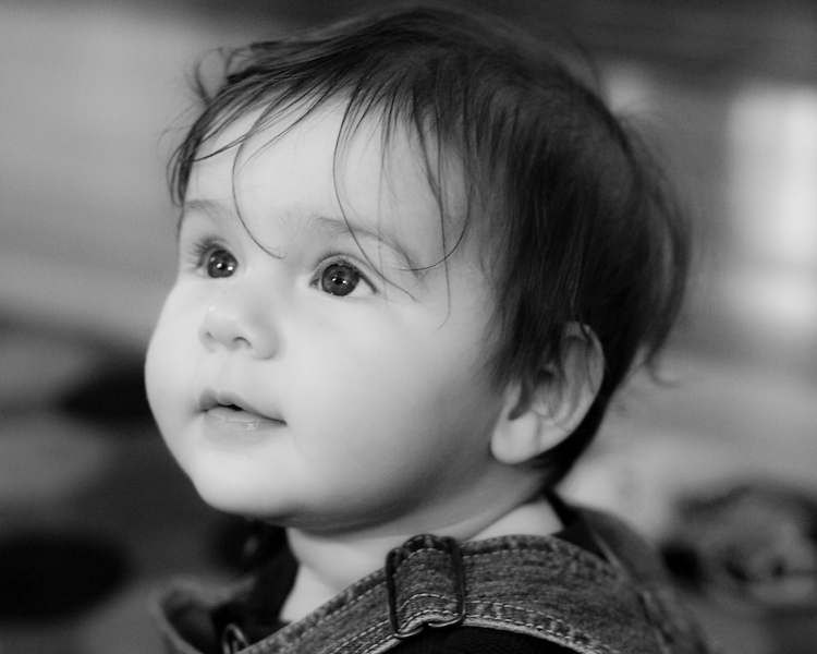 LF5A0761_bw.jpg