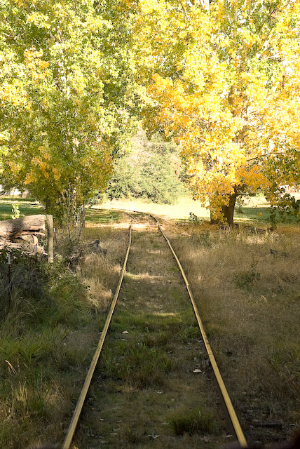 613F9868.jpg