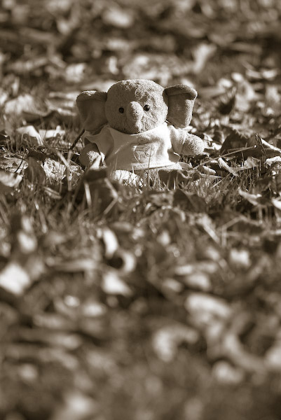613F0147_bw_web.jpg