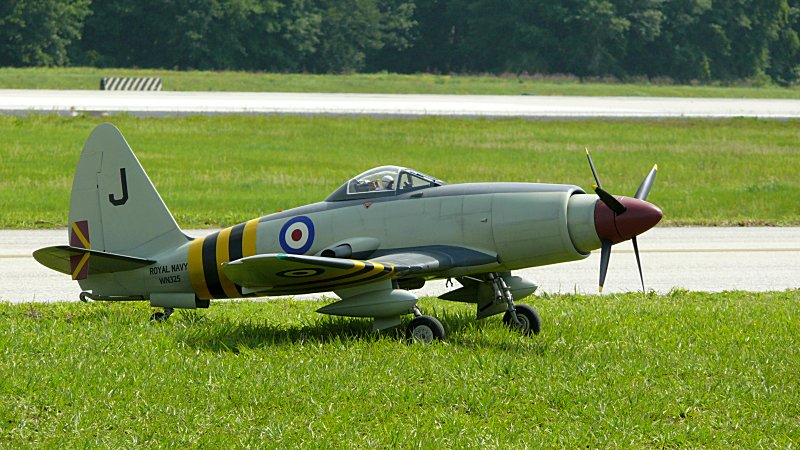 Westland Wyvern S4<!-- P1050948_model_web.jpg -->