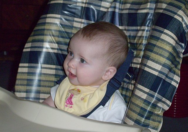 09-10-14_100_1806_abigail_5mo_email.jpg