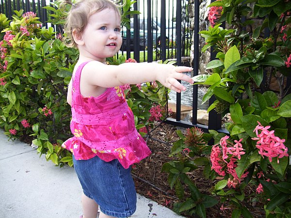 10-07-12_100_3130_abby_emaill.jpg