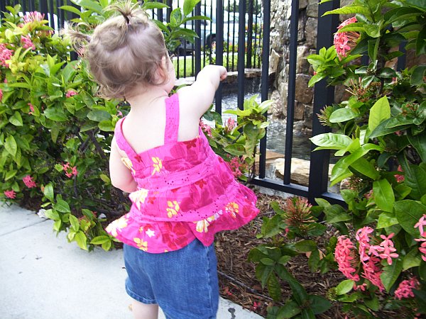 10-07-12_100_3131_abby_email.jpg