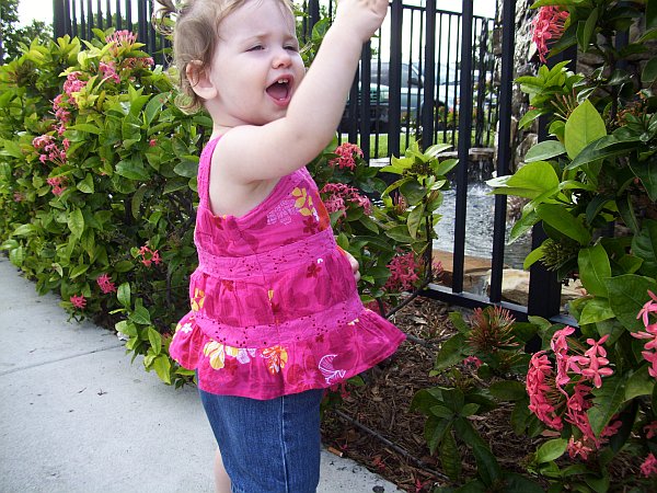 10-07-12_100_3132_abby_email.jpg
