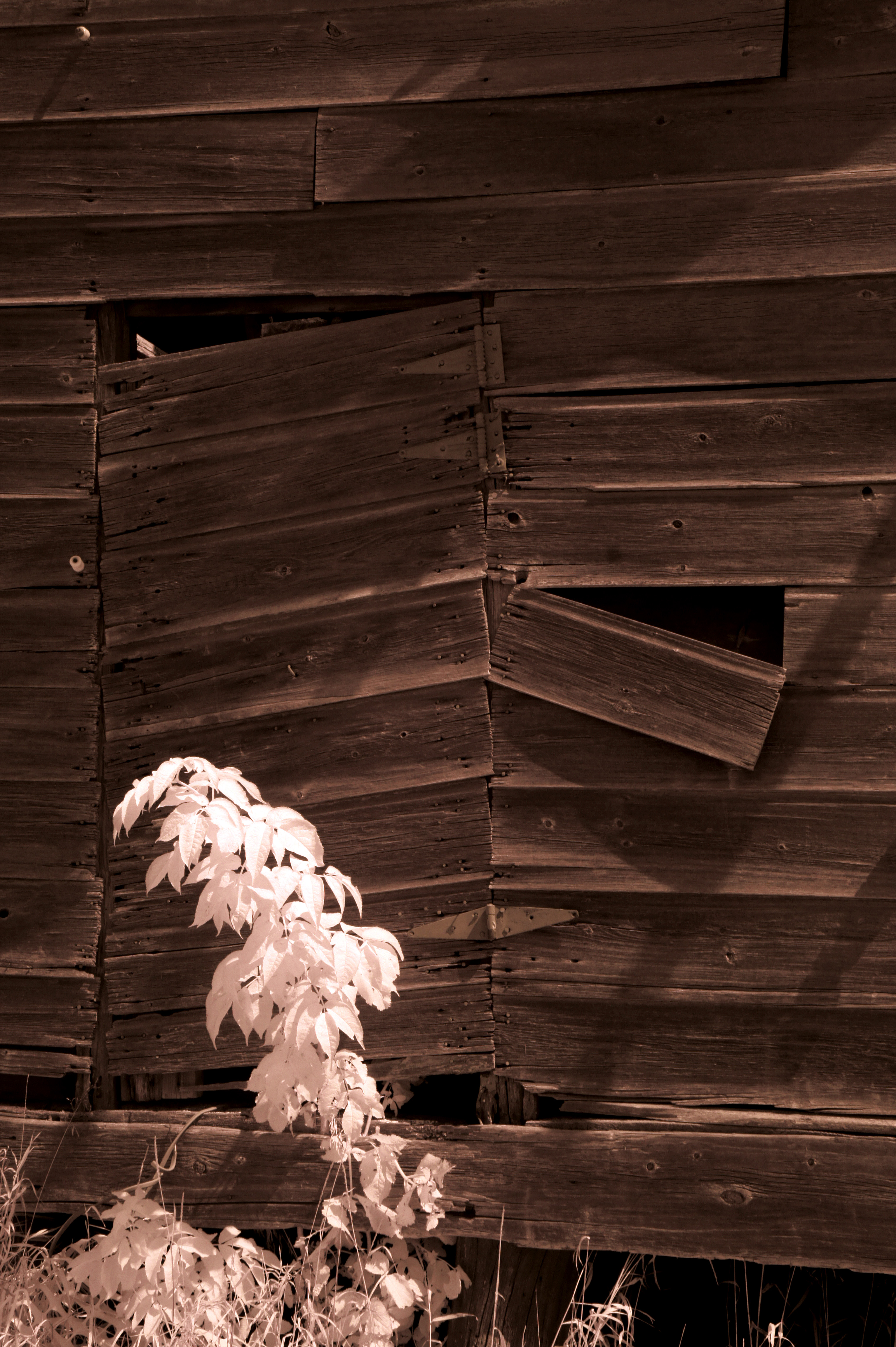 Old Barn IR 42.jpg