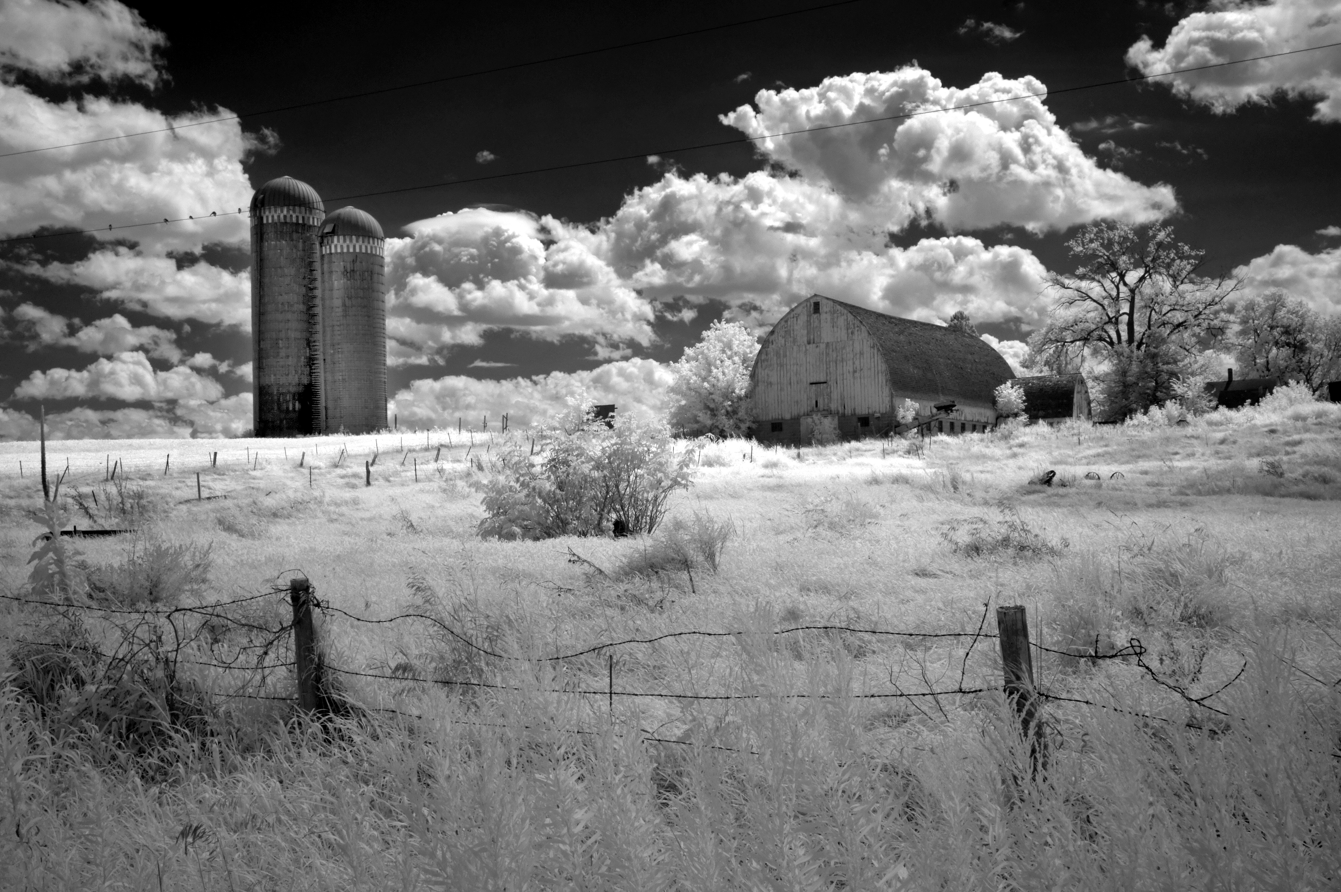 Old Farm 0333.jpg