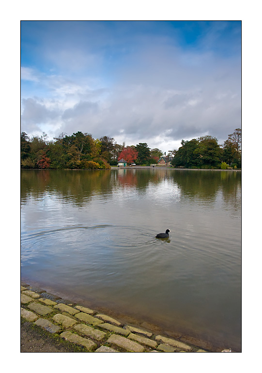 Leazes-Autum-2.jpg