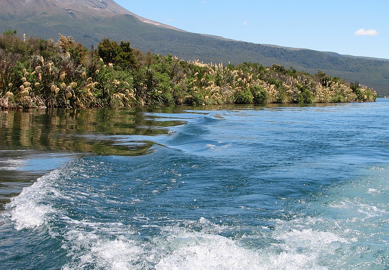 Lake Rotoaira.National Park.