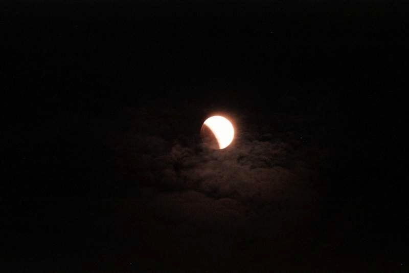 Partial Lunar Eclipse