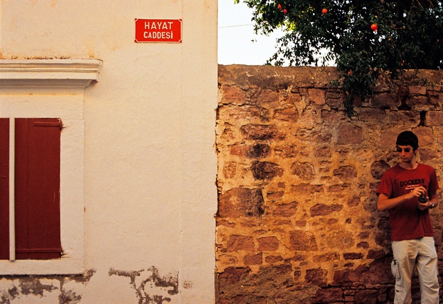 Road of life