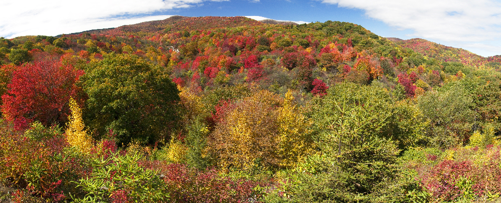 Near Graveyard Fields on the Blue Ridge Parkway, North Carolina  --  panorama