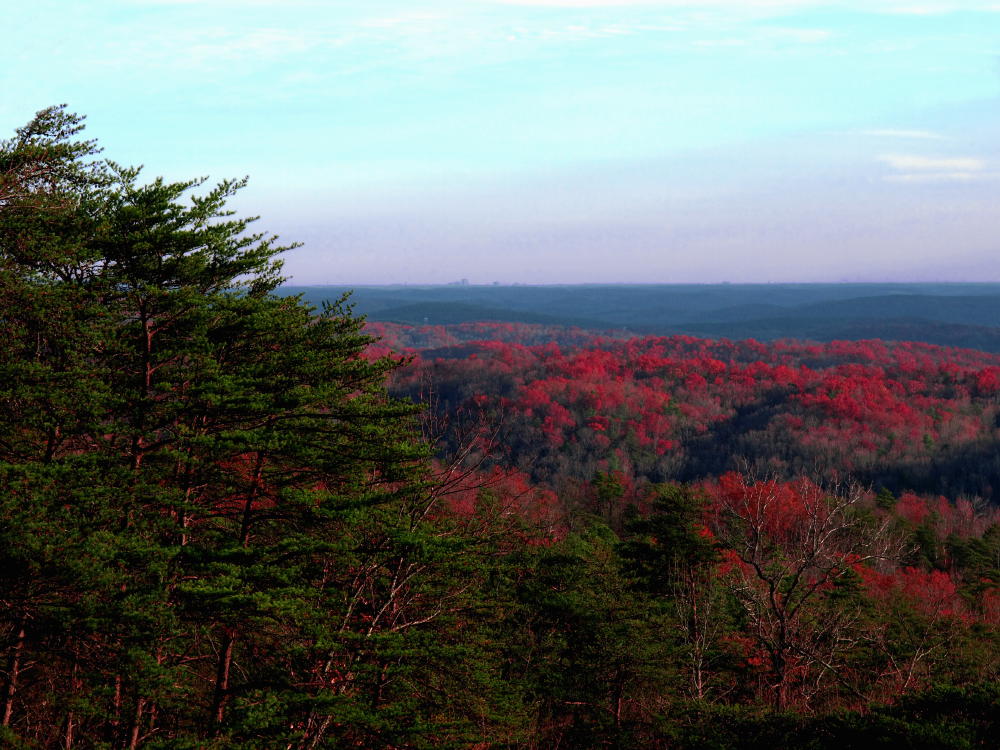 Greenvlle in the distance from atop the bald - close to sunset