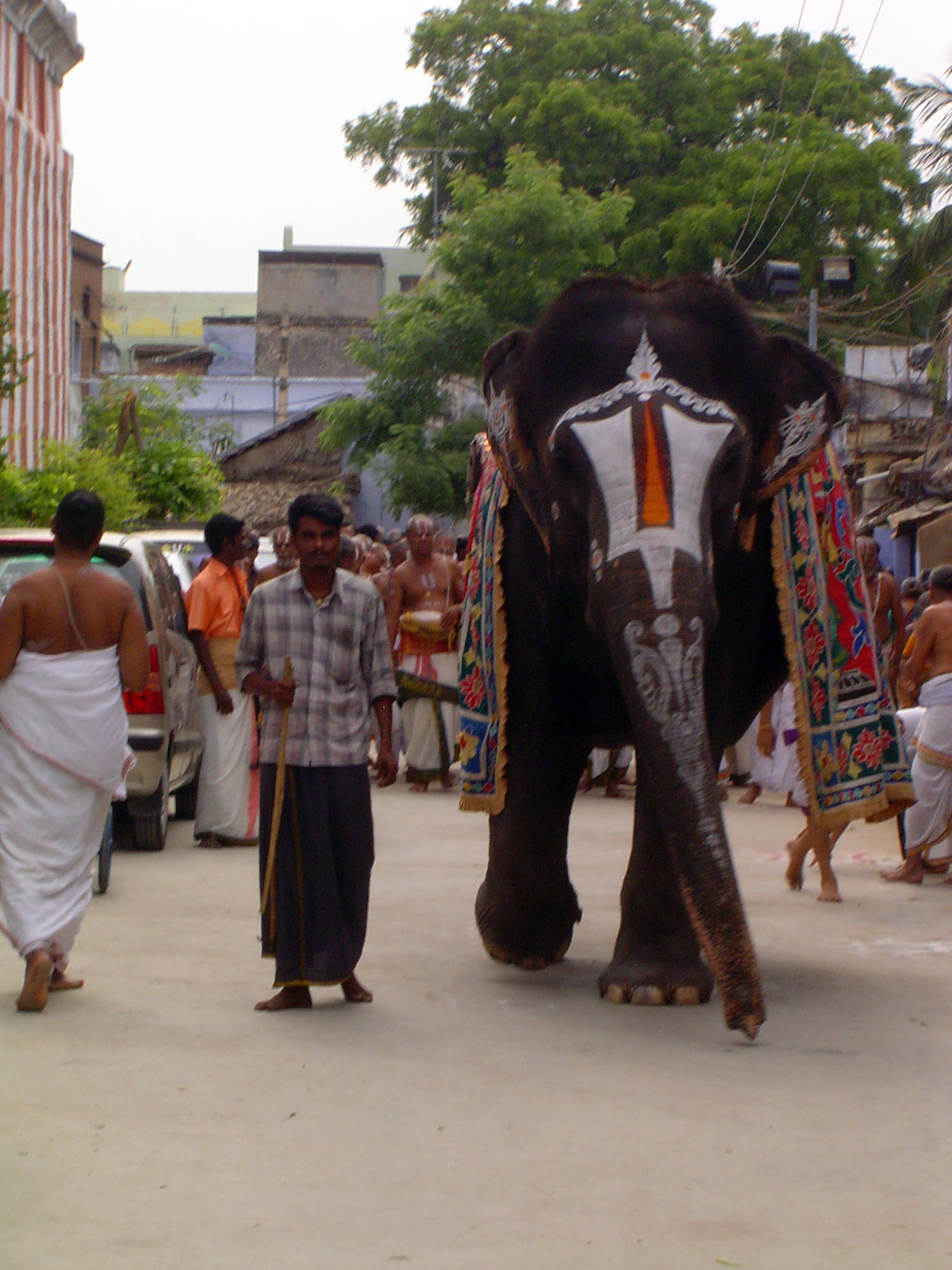 01_2011_Srivilliputtur_Thiruvaadipuram_Day08_Morning_YaanaiVarumMunne.JPG