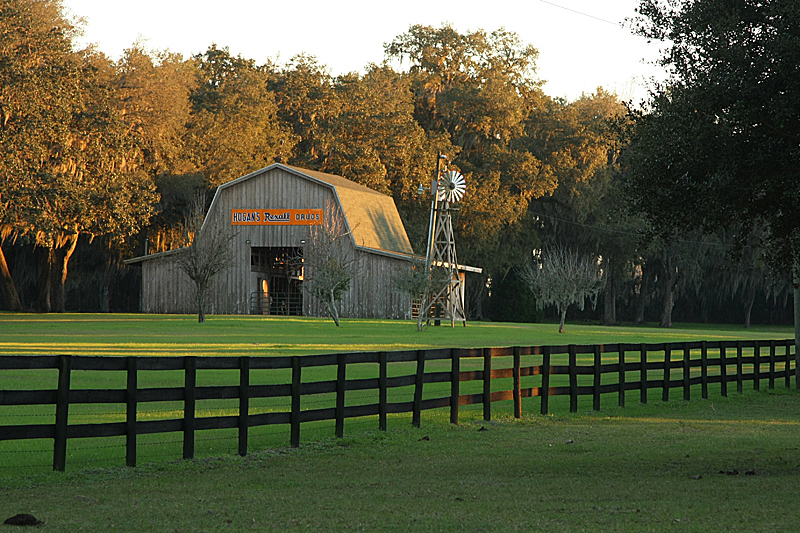 The Family Barn