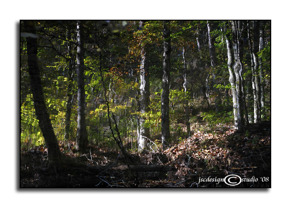 Fall Flip<br>October 20