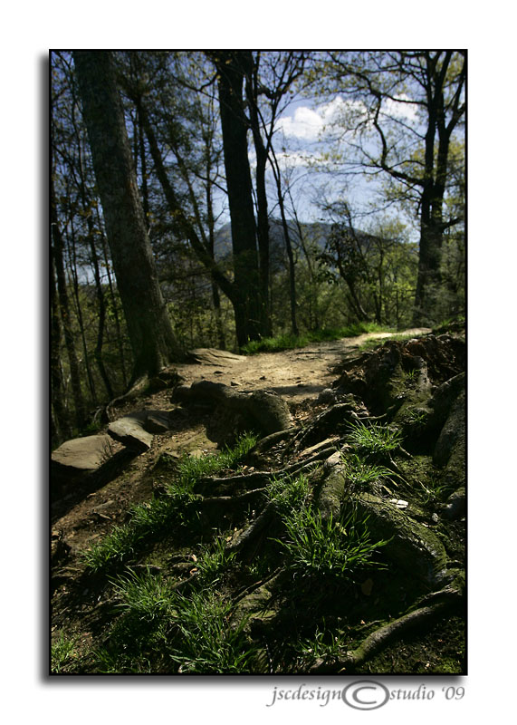 Trail to the Edge