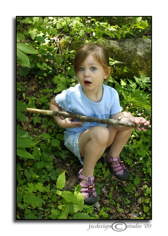 Hiking Stick<br>April 27