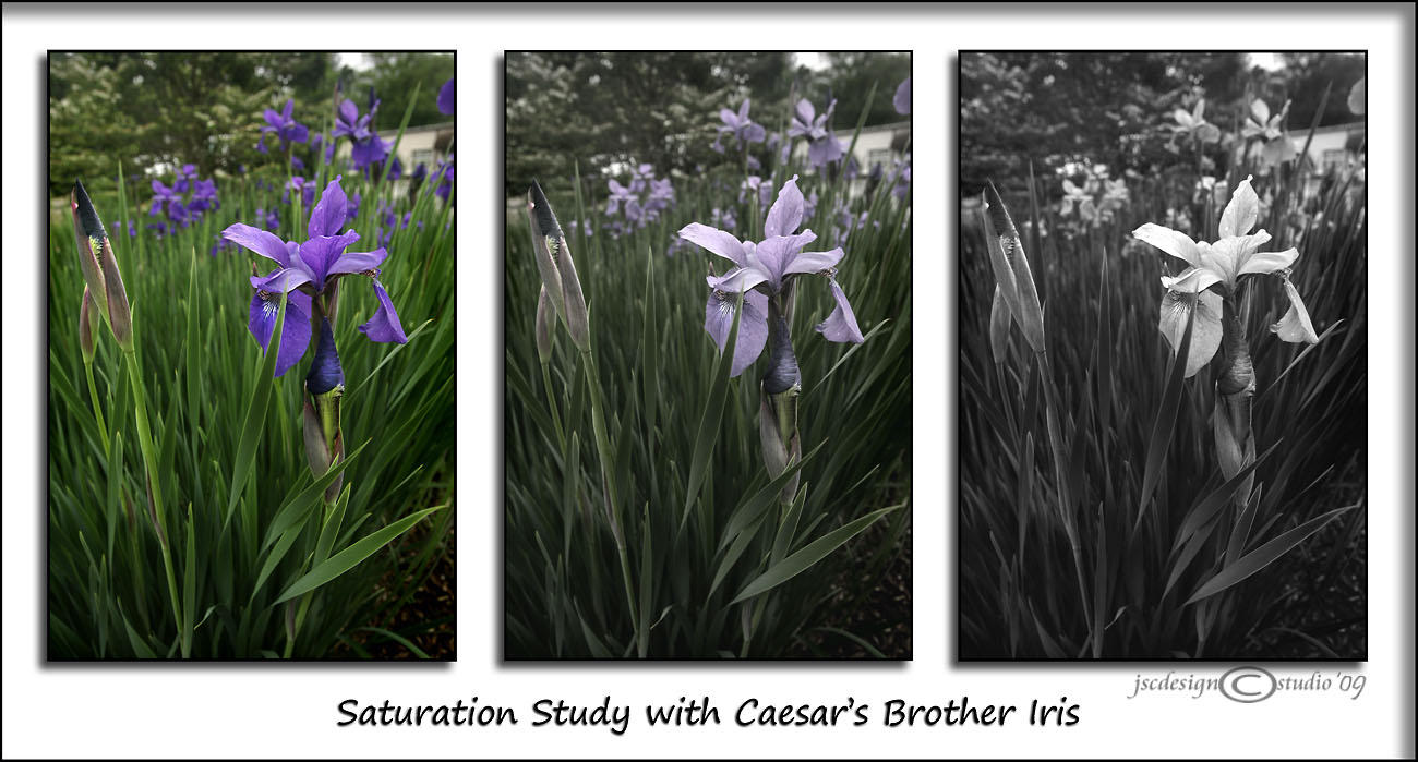 Saturation Study<br>May 6