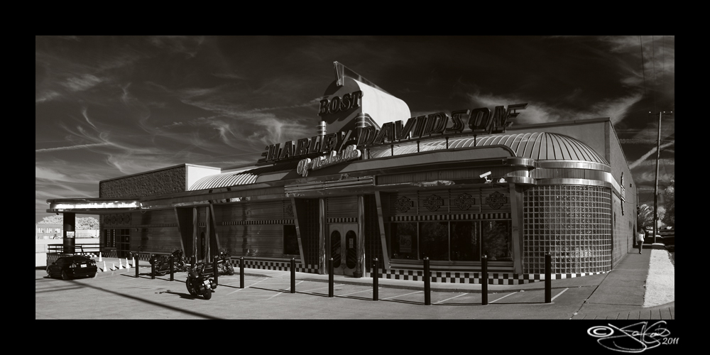 Bost H-D IR Panoramic