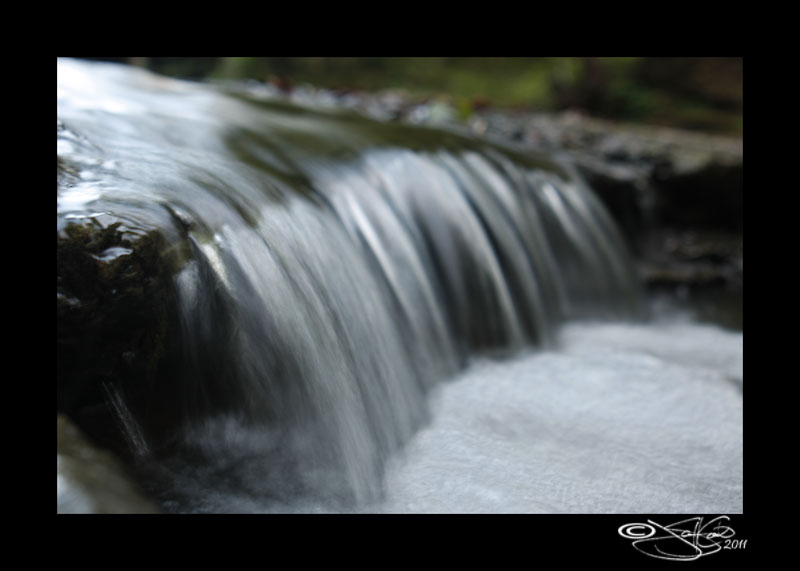 257<br>Transitions 14