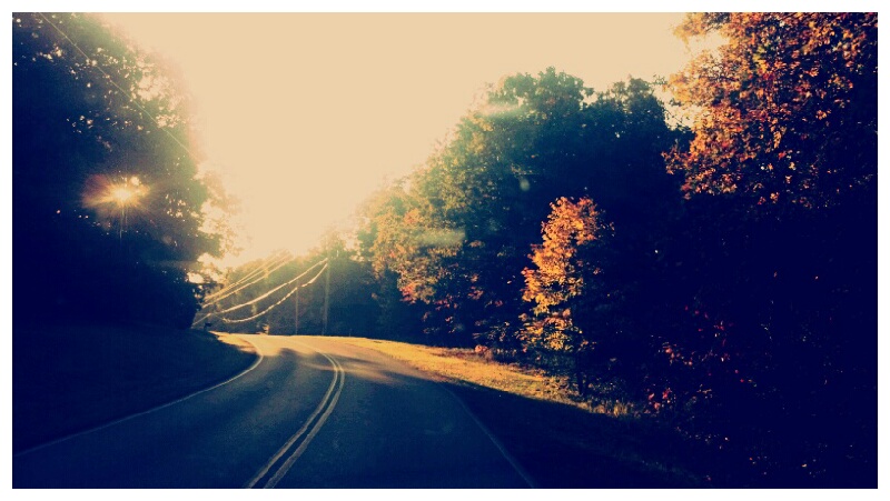 287:366<br>Byway
