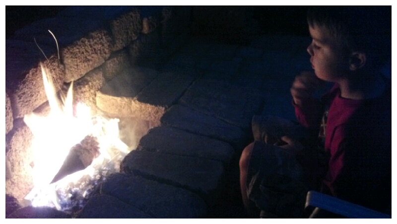 294:366<br>Mesmerized