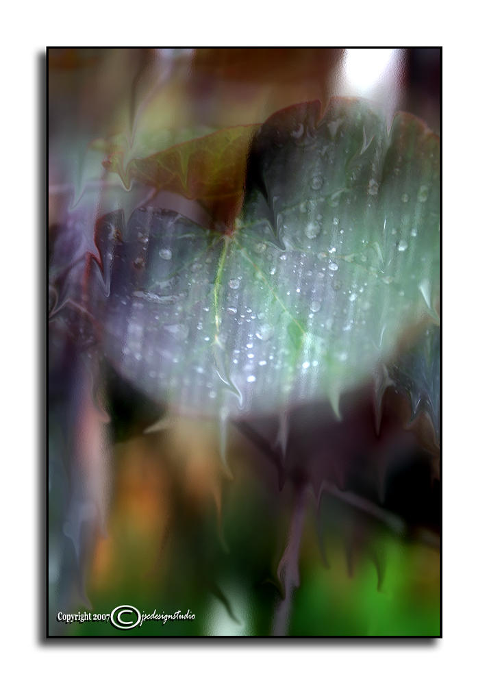 Under Glass<p>October 22