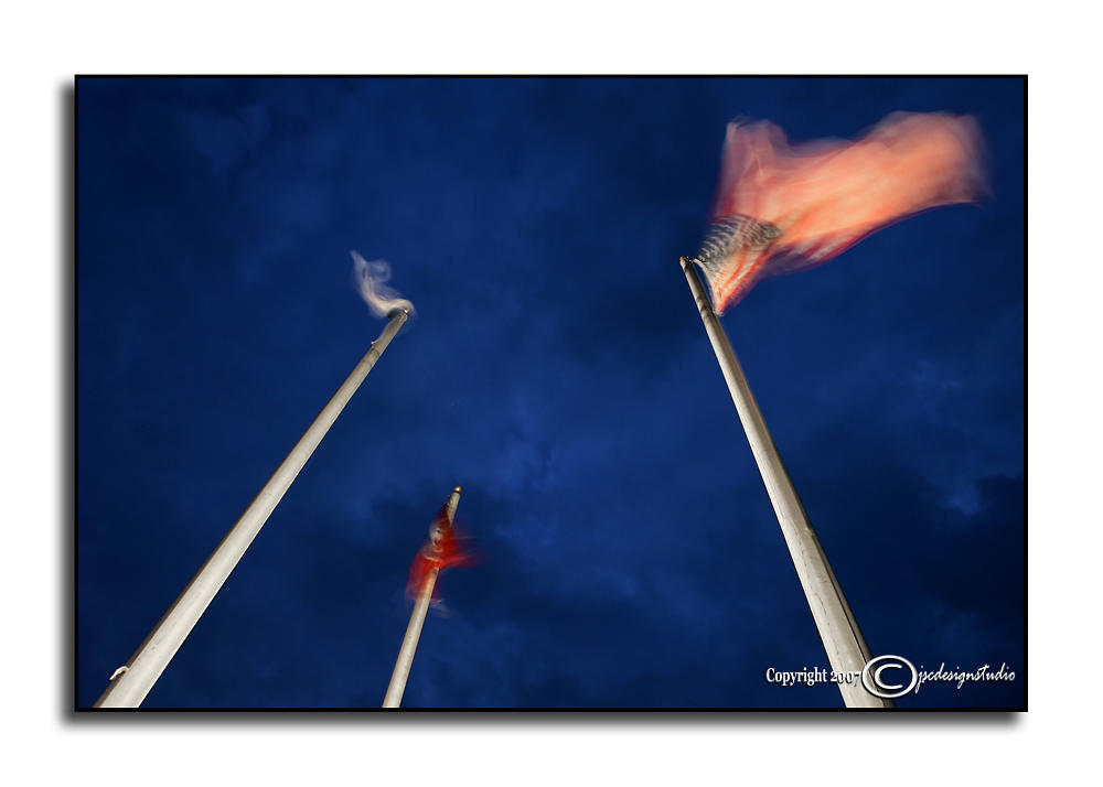 Blowin in the Wind<p>November 21