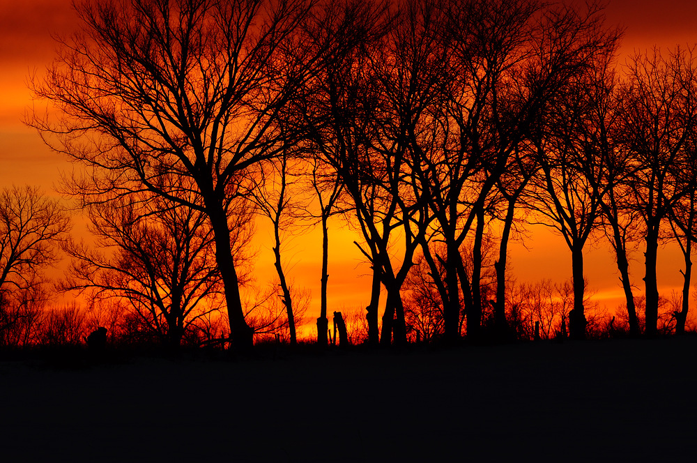 Sunset at Isaac Miller Trail