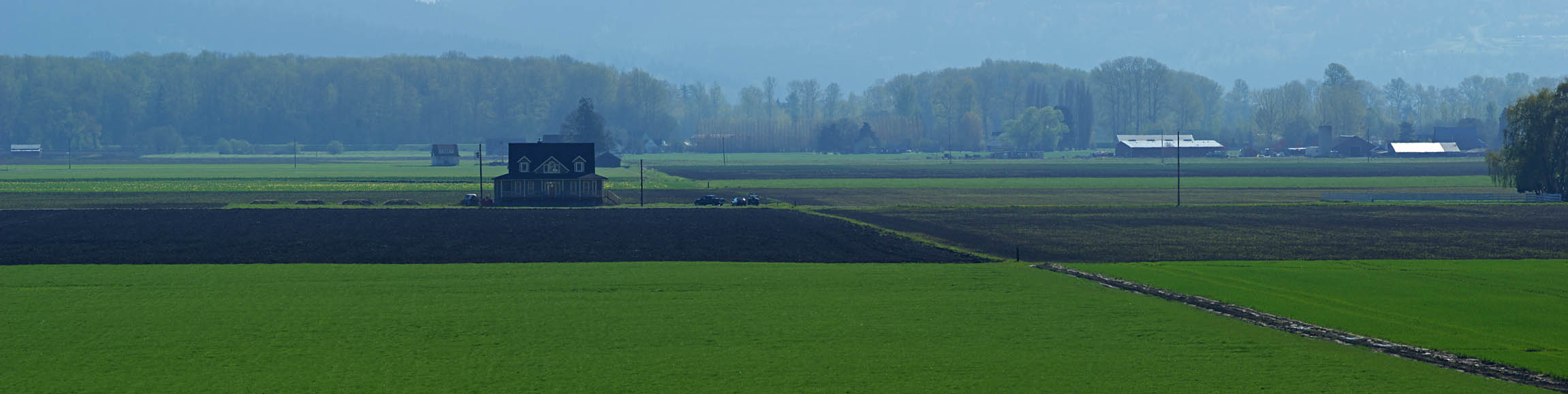 Skagit River bottomland