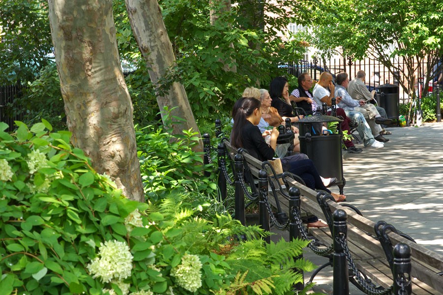 park users