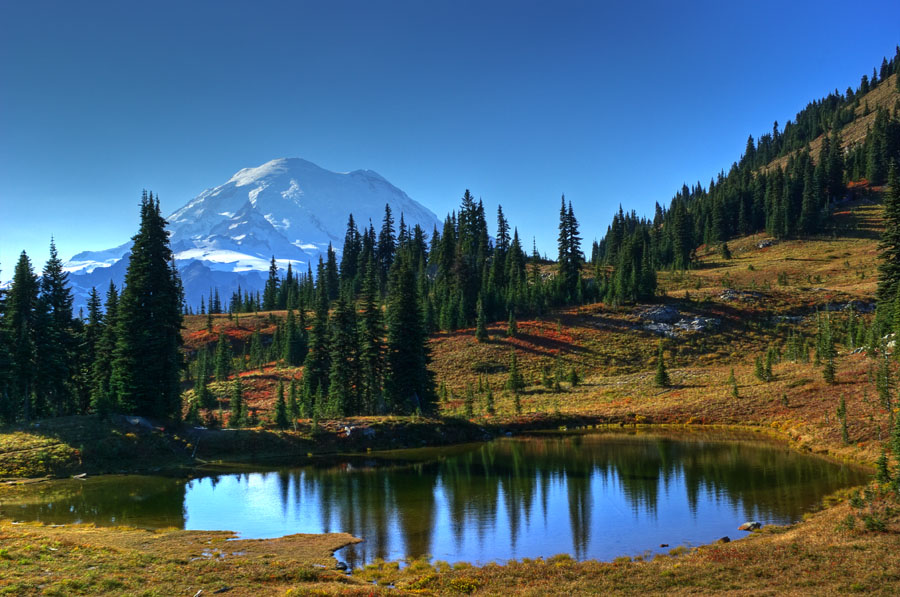 Mt. Rainer