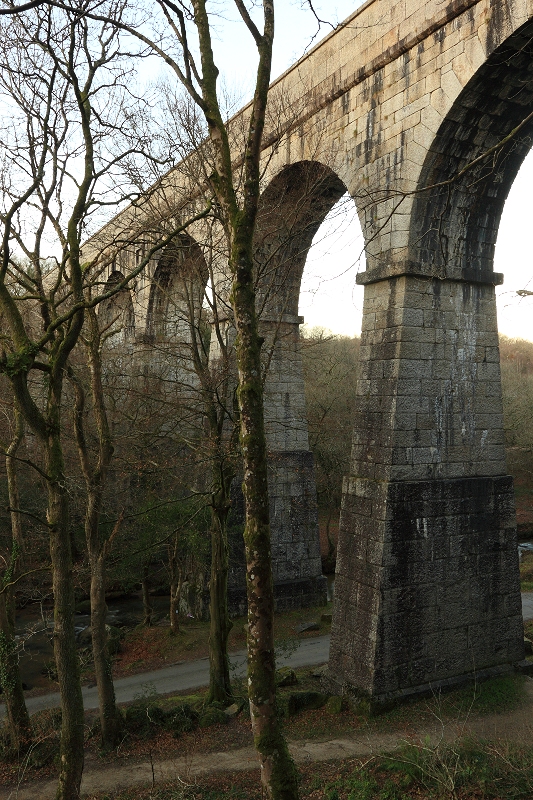 The Treffry Viaduct, Luxulyan Valley