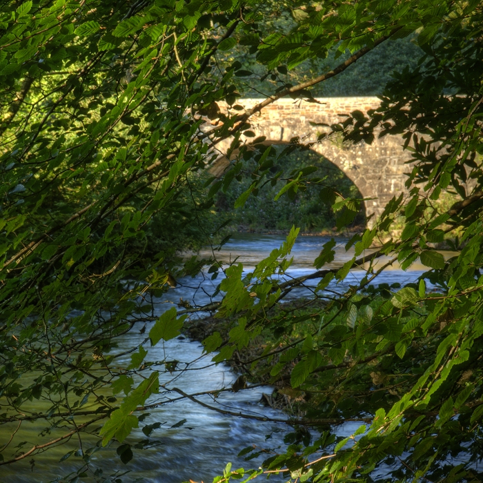 Respryn Bridge, viewed through the trees