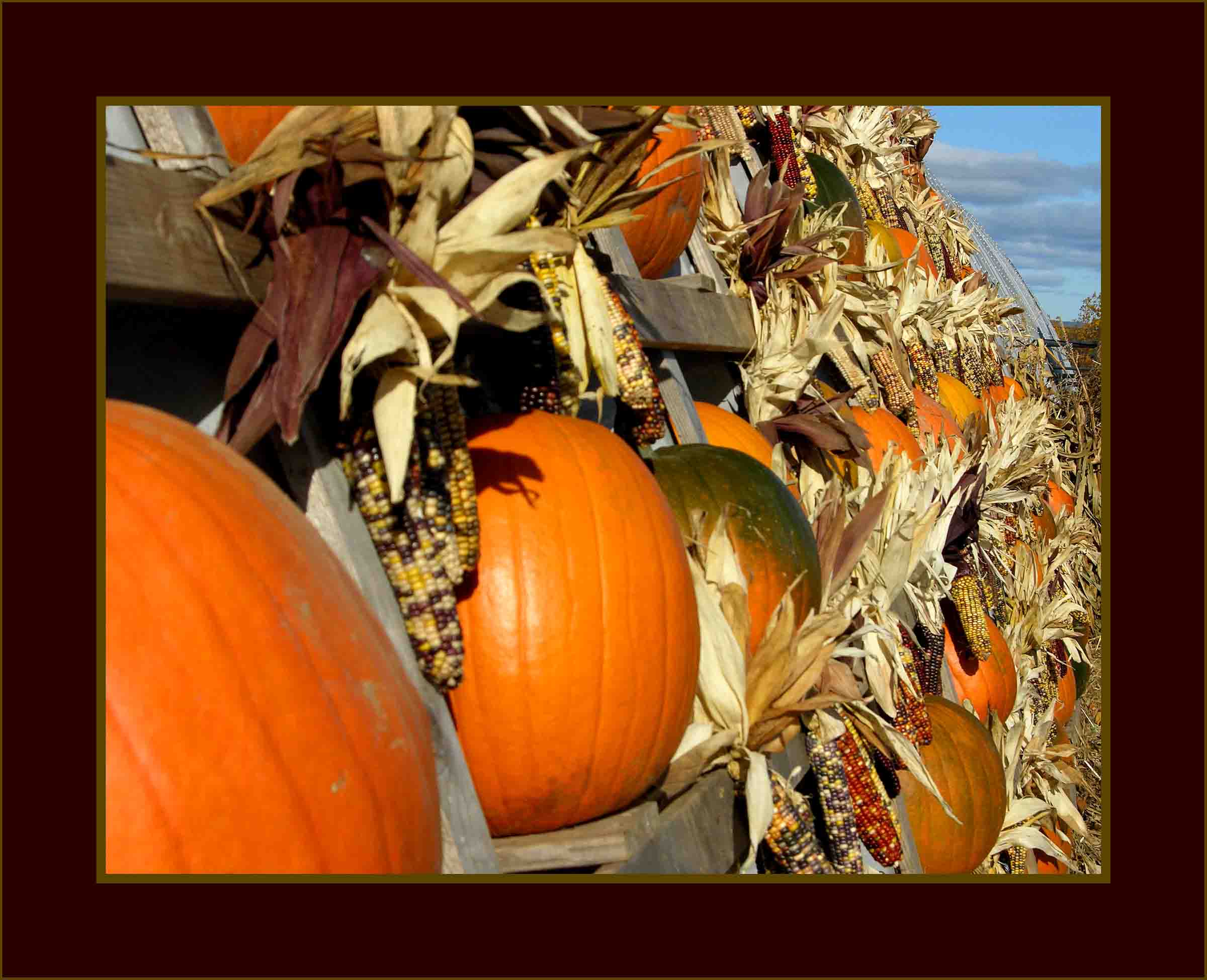 Halloween Fare